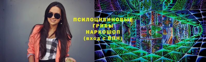 Псилоцибиновые грибы Cubensis  наркота  Никольск 