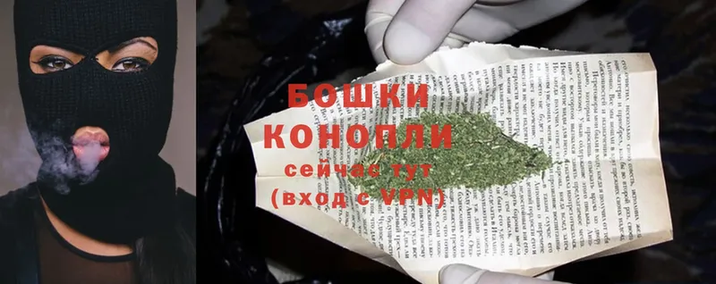 Бошки марихуана OG Kush  darknet формула  Никольск  hydra tor 